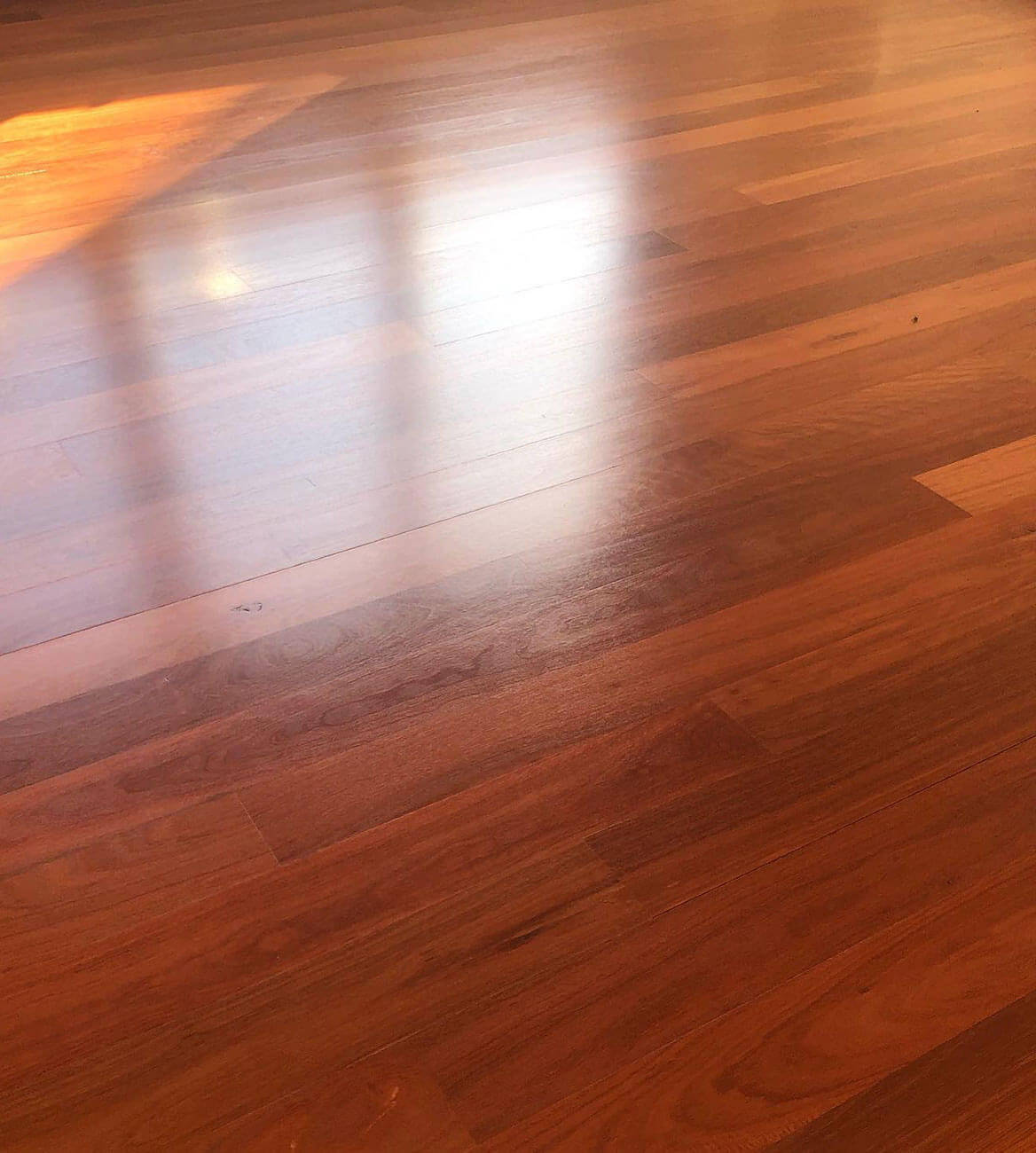 Blue Gum floor