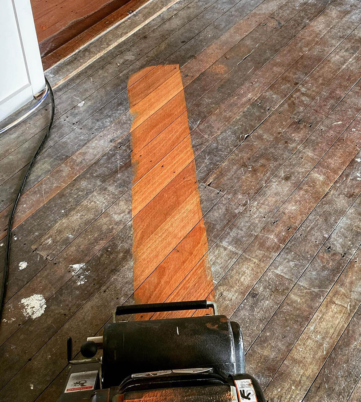 Blue Gum floor sanding