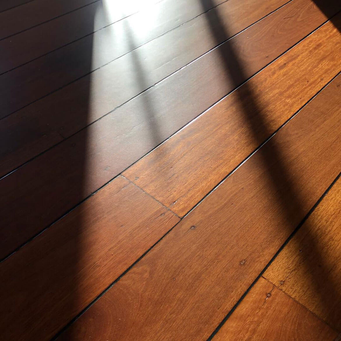 Restored Spotted Gum floor