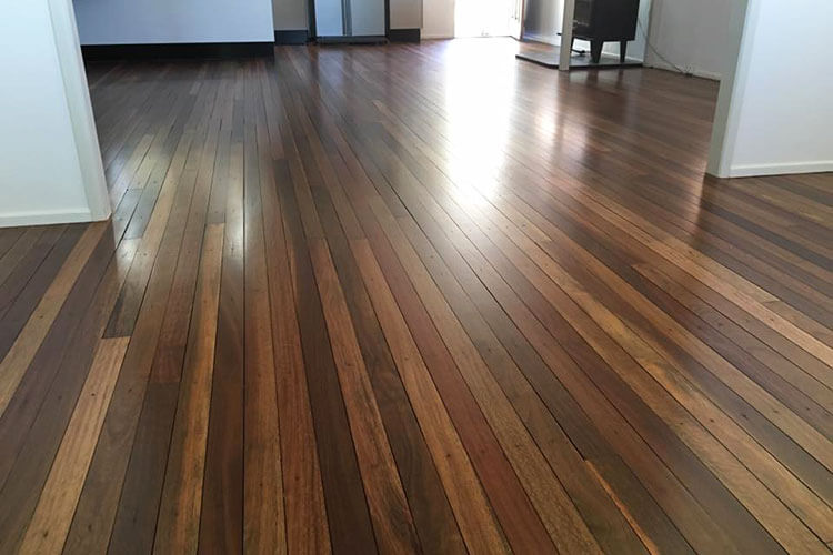 Spotted Gum in living room