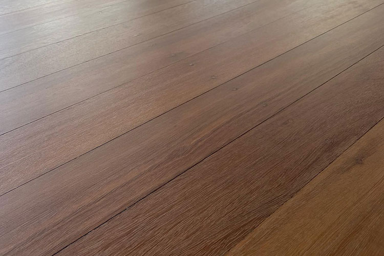 Polished Spotted gum